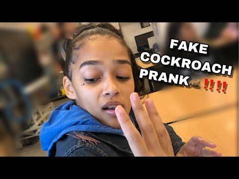 fake-cockroach-prank-in-high-school!!-//-(gone-wrong)!