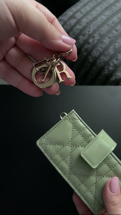 Dior Saddle 5 Gusset Card Holder - First Impression 