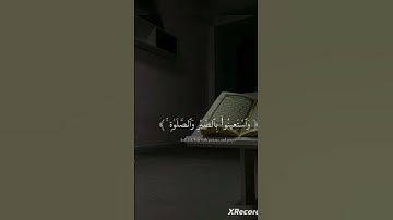 تلاوة هادئة 😴 #اكسبلور #فلسطين_حرة #لايك #ترند
