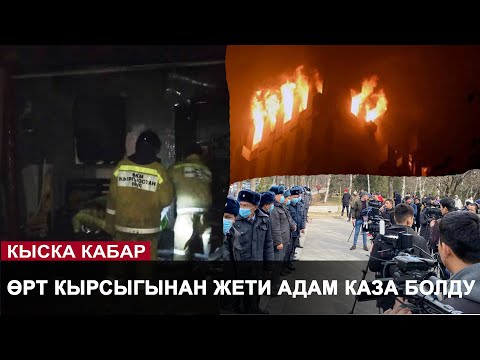 Video: Москванын жанындагы турак үйдөн табылган курттар: сүрөт