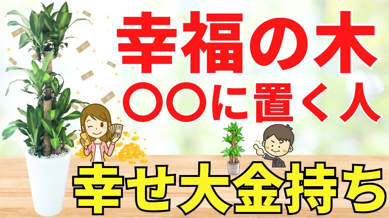 幸福の木（ドラセナ）を○○に置くだけでお金持ち【風水アドバイザーが
