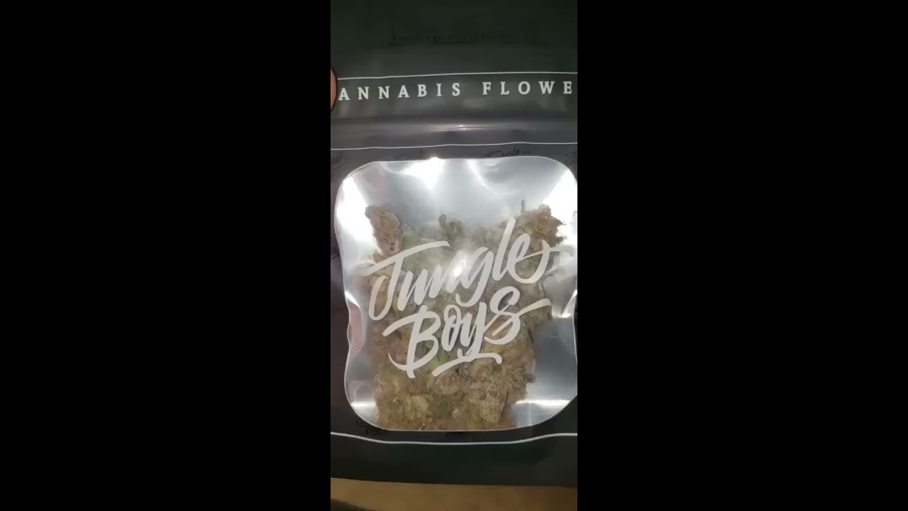 Jungle Boys Gelato 33 