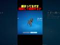 また犬が捕まってるからまた助けて飼い始めるさ#Fortnite#shortsfeed