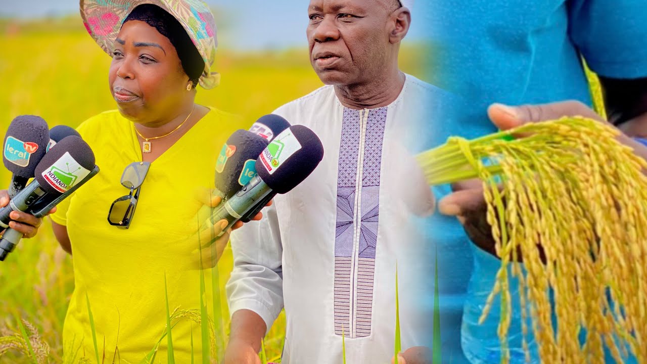 Autosuffisance en riz NDIANDA dans la commune de Ngueneine veut relever le defi