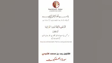 Raad Al kurdi Whatsapp status with Urdu translation / رعد الكردي حالات واتس اب / سورة العنكبوت