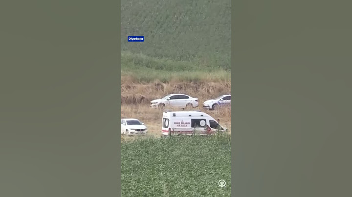 Diyarbakır'da 21 Ağustos'ta kaybolan 8 yaşındaki Narin Güran'ın cansız bedenine ulaşıldı