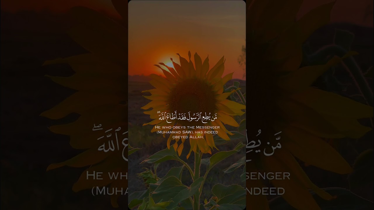 Quranic Insights | Quranic Verses | Quran Sharif Talwat with english translation | Islamic Videos