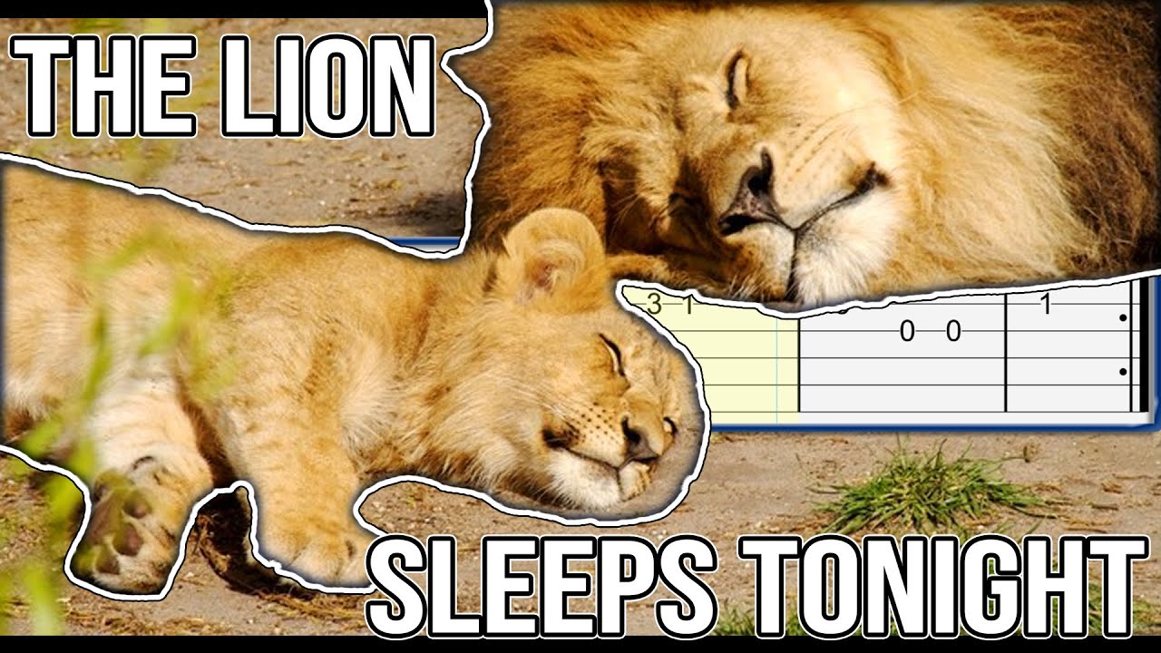 the lion sleeps tonight guitar chords