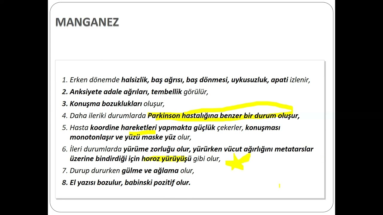 funda hoca hekim ve dsp kampı 13.04.2023