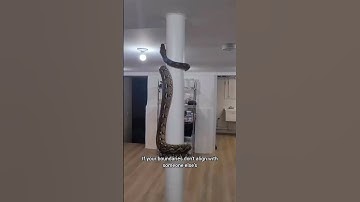 Learn to respect boundaries  #shortvideo #satisfying