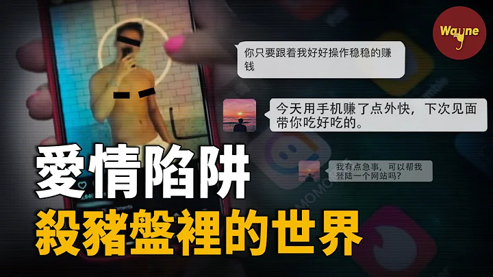 殺豬盤里的愛情陷阱，揭秘「狗推」和他們的世界 | Wayne調查 - 天天要聞