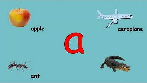 English  Letter a   TPL  Allied School City Campus