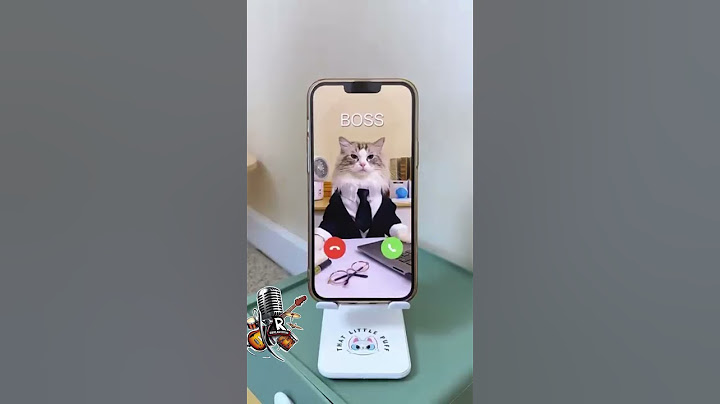 Puff’s guide on handling weekend calls from the boss! #BossBoundary #WeekendWarrior #thatlittlepuff