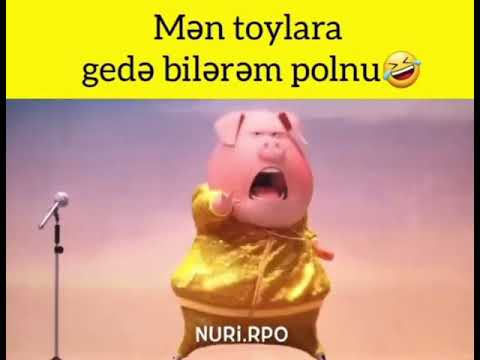 Mən toylara gedə bilərəm polnu 🤣🤦‍♂️Whatsapp status üçün gülməli videolar