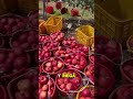 Top 5 mejors árboles frutales para macetas 🌱🍎 | El último te sorprenderá #HuertoUrbano #frutas