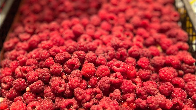 Буланованың фотоэротикасы