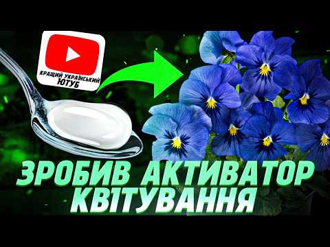 Як я перетворив