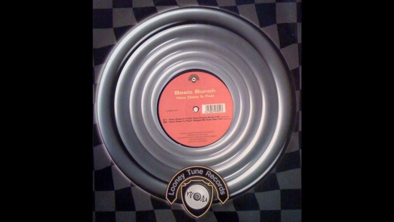 Basic Bunch - How Does it Feel (Fast Creation Remix)