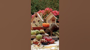 Lil Max takes big walnut 😆 #shorts #squirrels #cutesquirrel #cuteanimals #squirrel