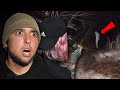 The NIGHT WE ALMOST DIED in the DEVILS FOREST | Charles Manson Forest
