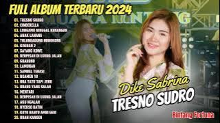 TRESNO SUDRO - CINDERELLA - ANAK LANANG - DIKE SABRINA | FULL ALBUM DANGDUT 2024
