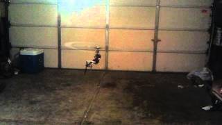Blade 450X gargae test hover