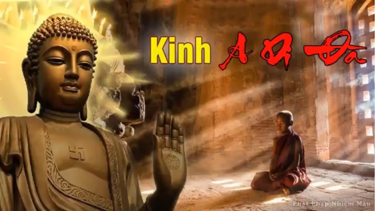 Tụng Kinh Phật A Di Đà – TT. Thích Trí Thoát tụng – Cầu An, Cầu Siêu Cực Kỳ Linh Nghiệm Tụng Kinh Phật A Di Đà – TT. Thích Trí Thoát tụng – Cầu An, Cầu Siêu Cực Kỳ Linh Nghiệm
