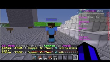 @Creeves Ban Swaped please (Fly Hacks)