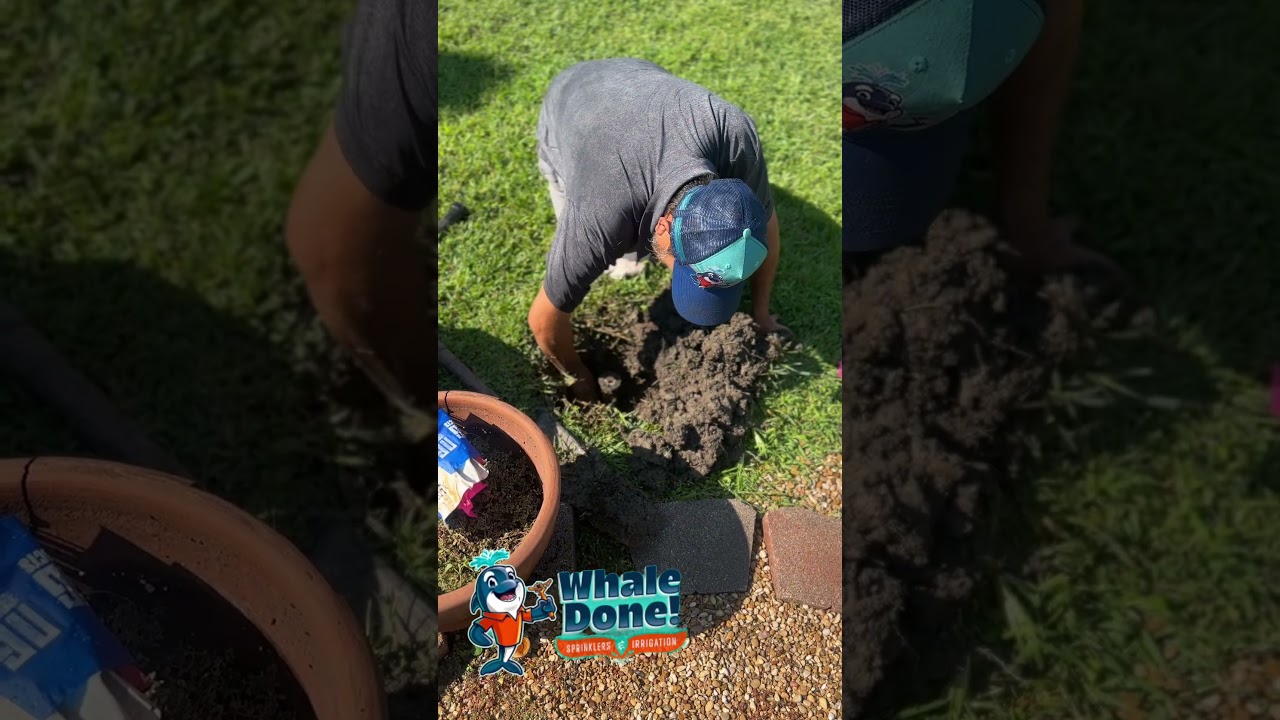 Broken Sprinkler Problems 💧 Why Repair Matters in Collin County TX!