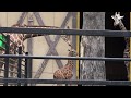 羽村市動物公園　元気なキリンの子供 の動画、YouTube動画。