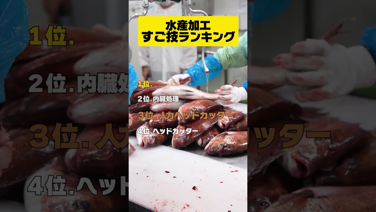 【ヘッドカッター】水産加工すご技ランキング