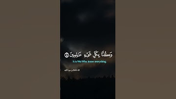 سورة الأنبياء. #اسلام #اكسبلور #المصحف #راحة_نفسية #تلاوة_خاشعة #تيك_توك #لايك #قرآن #islam