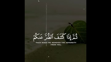 وما بكم من نعمة فمن الله ثم إذا مسكم الضر فإليه تجأرون | سورة النحل | القارئ محمد كمال هاشم