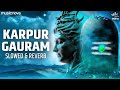 Karpoor Gauram Karunavtaram Full Song (Slow + Reverb) | Shiv Bhajan Lofi | Bhakti Song | कर्पूर गौरम