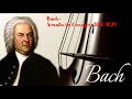 ♣Bach~Sonata in G major, BWV 1021♣