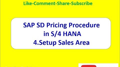 SAP SD Pricing Procedure (Setup Sales Area)