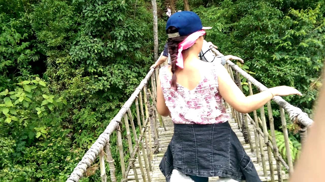 lang cu lan da lat New 2022 Lang cu lan Da lat