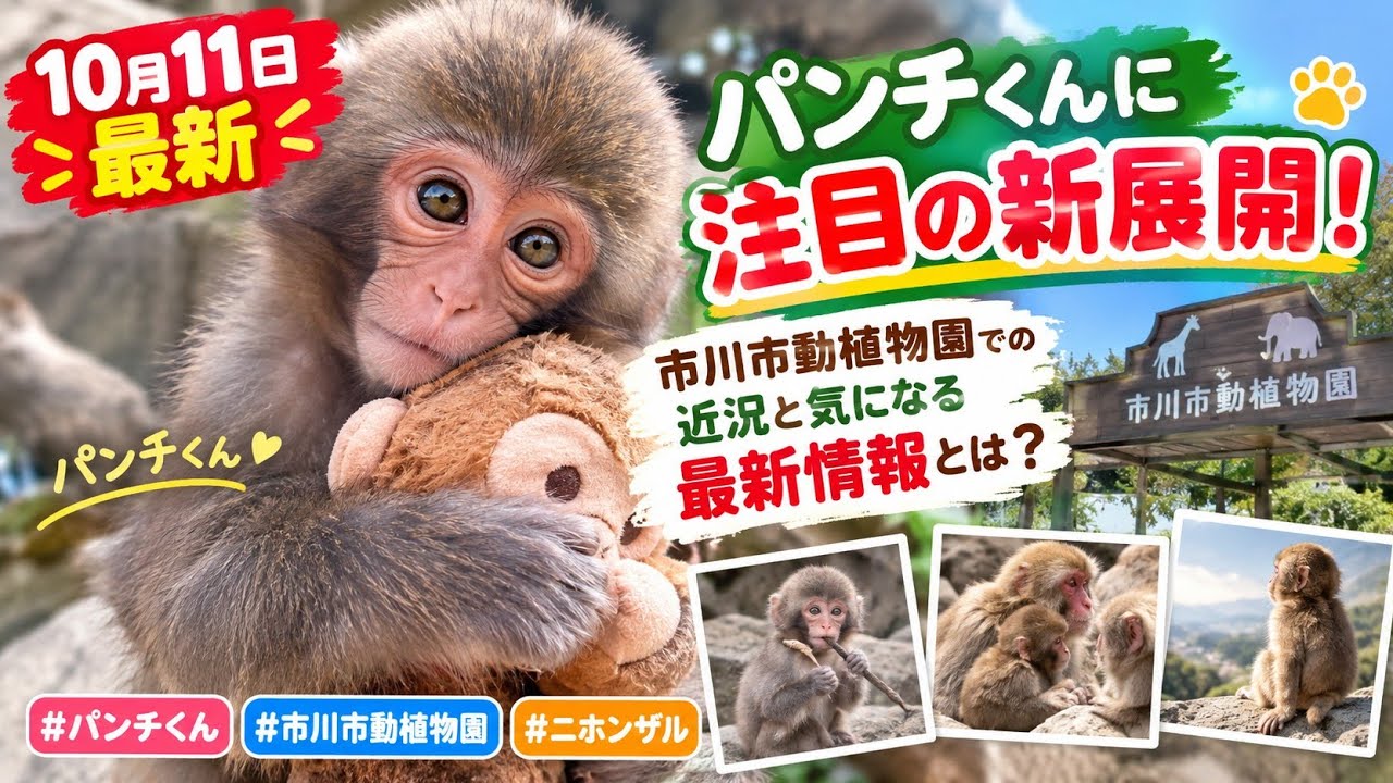 10月11日最新】パンチくんに注目の新展開！市川市動植物園での近況と気