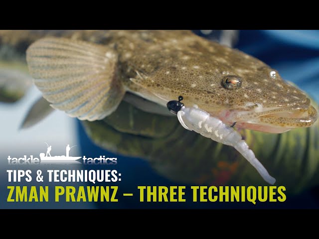 ZMan 2.5 PrawnZ - Three Techniques for Rigging & Fishing - How to Fish Soft  Plastics 