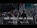 Mon Ta Karia Lofi | মনটা কারিয়া গেল সে চলিয়া | [Slowed+Reverb] Lo-Fi Rimex Song | Prio Lofi 1M🥀