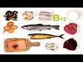 The Top 6 Foods With The Most Vitamin B12!