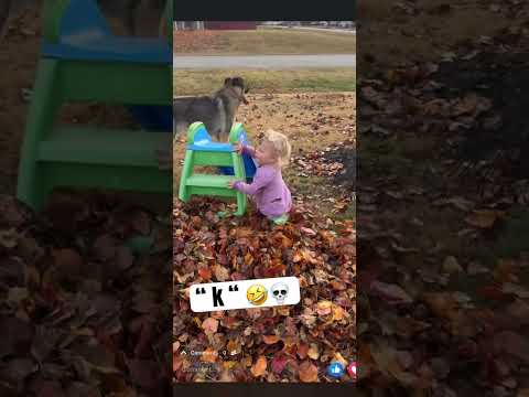 Funny Explore Foryou Dadmoments Forfun Comedy Jokes