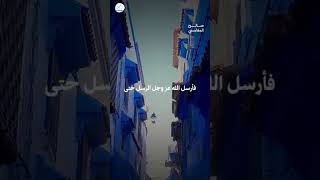 من آدم إلى محمد ﷺ… الرسالة التي لم تتغير