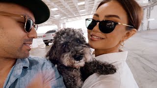 If you love dogs you must watch this