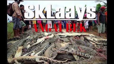 SKLAAYS - ANGAi BEK                                         (DJONKiES HOMO