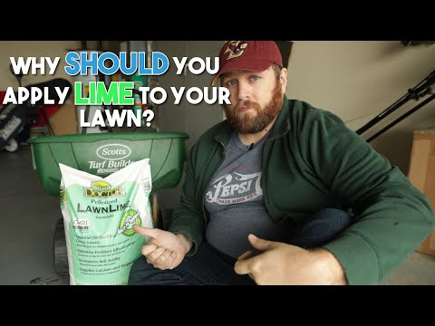 Why SHOULD you apply LIME to your Lawn?