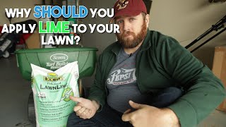 Why SHOULD you apply LIME to your Lawn? screenshot 5