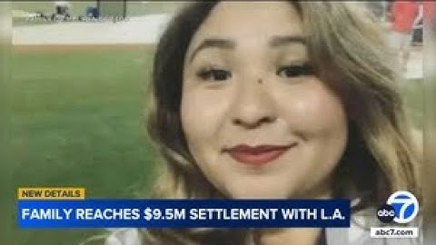 LA to pay $9.5 million over deadly police shooting of Trader Joe