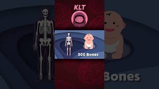 There Are 206 Bones In The Human Body! | KLT Anatomy #shorts