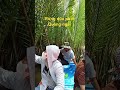 rừng dừa nước quảng ngãi #quangngaiquetoi #quangngaivlog #76quetoi#xuhuongyoutube